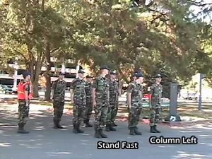 Column of Files (Column Movements)