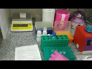 Extração de DNA com kit