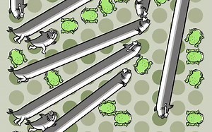 这关很难过第204关_哔哩哔哩bilibili