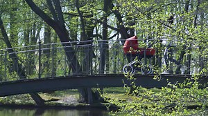 11K views · 27 reactions | Met de nieuwe voorwieladapter maak je van je CYBEX Priam een echte terrein kinderwagen! Check de video en zie hoe dat werkt! Voor meer info: cybex-online.com/priam | CYBEX | Facebook