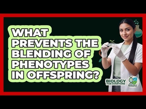 What Prevents The Blending Of Phenotypes In Offspring?