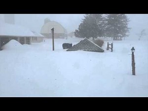 Snowzilla 2016 Timelapse