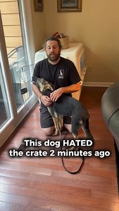 16K views · 1.6K reactions | What do you do, when a dog HATES the...