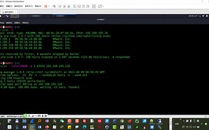 小飞侠-CTF挑战-DC9靶机-阶段一