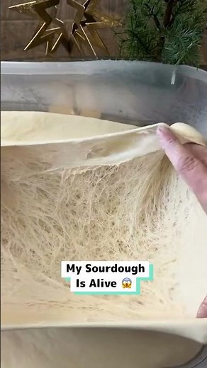 Sourdough is a jar of wild, living bacteria 🦠🍞
