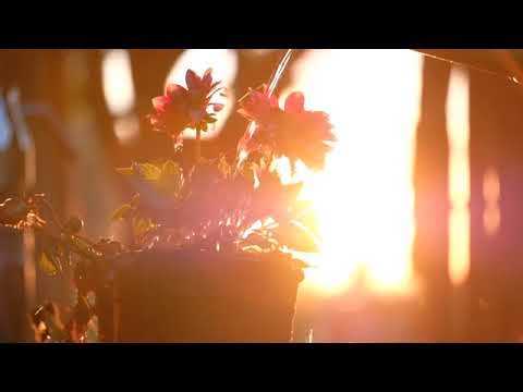 I am Cluely's greatest fan