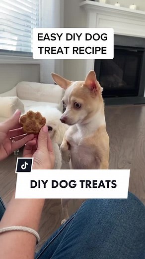 Easy DIY Dog Treat Recipe Your Pup Will Love