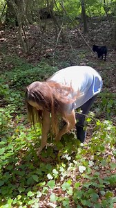Just a girl who found an awesome pile of Grapevine💕 #nature #craft #family #happy #grapevines #grapevine | The Grapevine Lady