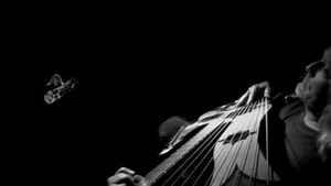 Keith Medley "Ancestors" - 27 string guitar