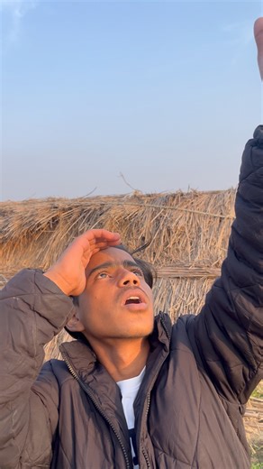 Aaj toh bal bal bach gya badshah #pigeon #kabutar #shortsfeed #viral