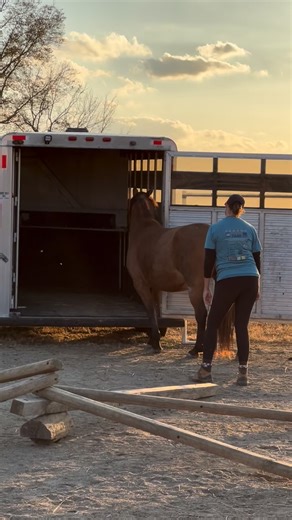 Pressure with Purpose Sometimes “asking” looks big — waving a flag, raising your voice, creating movement. And sometimes asking is as subtle as a quiet finger point and a gentle shift of energy. The real skill? Using only as much pressure as needed to communicate clearly… Starting at a 1, slowly escalating toward a 10 only if necessary, and always releasing the moment they respond. That release is what teaches. That release is what builds trust. It’s the same with people, too. Learning how to as