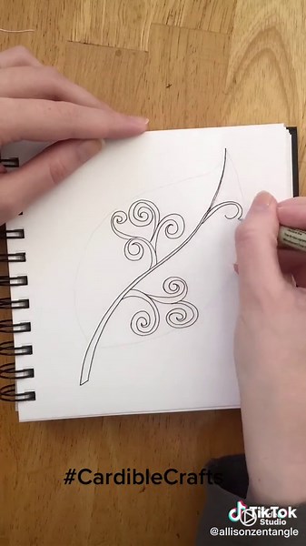 Flamboyant Feather Zentangle Art Techniques