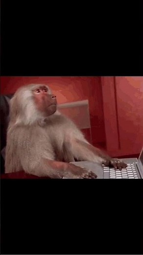 Funny Monkey Typing Computer #Shorts