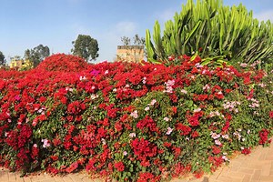 20 Photos of Peru That Will Make You Want to Visit