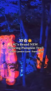 64K views · 21 reactions | SC's newest Fall destination OPENS Sept 19th! Experience our immersive glowing trail, photo ops, treats, & so much more! Save 25% on tickets before we open!✨ | Sara's Farm Adventure | Facebook