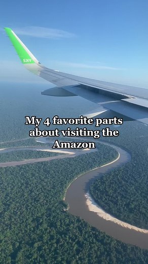 4 amazing days in the jungle 🦋 #amazon #wildlife #river #jungle #boattrip #junglelodge #amazonriverdolphin #amazonriver #fyp