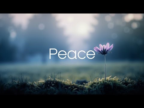 Serene Guitar & Piano Melodies ~ Relaxing Ambient Music for Focus and Calm