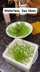 408 reactions · 48 comments | Waterless sea moss #saladmastercookware #seamoss #waterless #seafoodlovers | Hylee Mae Federe Ramos | Facebook
