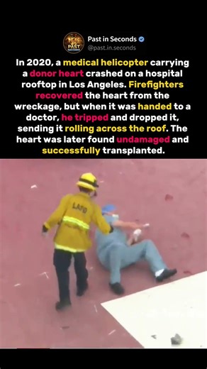A Donor Heart Survived a Helicopter Crash—Then Was Dropped on the Roof