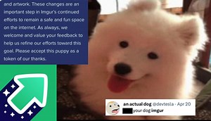 What's Up With Imgur's Mass Deletion Of Old Memes And NSFW Content? Here's Why The Site's New Policy Is Causing Outrage