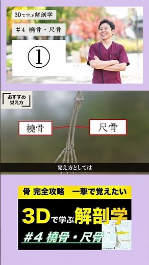 #4 橈骨 尺骨【3Dで学ぶ解剖学】おすすめの覚え方 間違えやすいポイントを一挙公開！