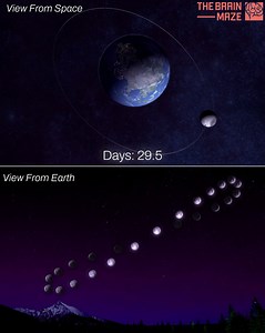 141K views · 1.5K reactions | Understanding the Lunar Analemma -We...