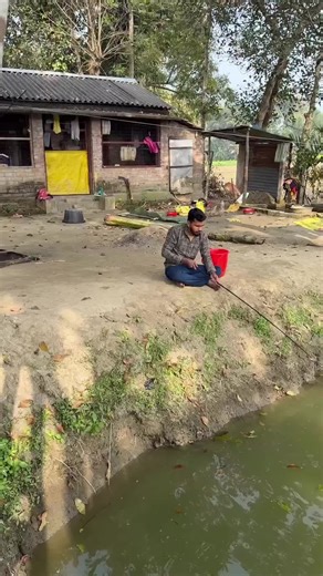 Exploring Robot Innovation with BalliBot Mogis