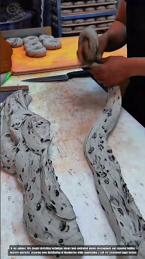 How Dough Stretching Forms Elastic Texture Into Perfect Bagel Base