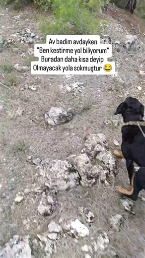 ABONE OL VE BEĞEN 💯🐇🐾👉