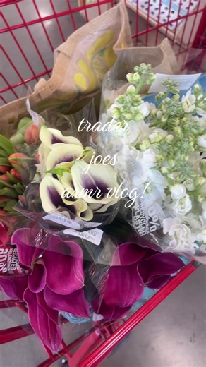 Trader Joe's ASMR Vlog Sounds