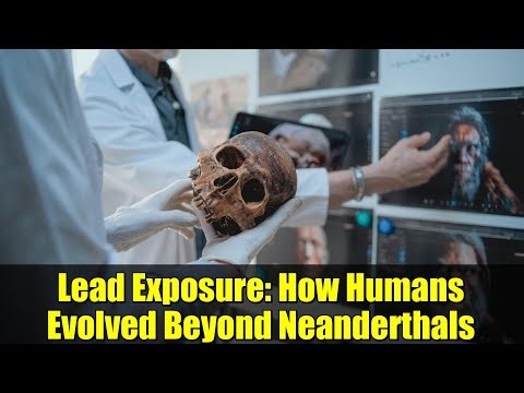 Lead Exposure: How Humans Evolved Beyond Neanderthals
