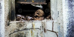 Rethinking "Hell" - Understanding the Ancient Fear of Grave Desecration