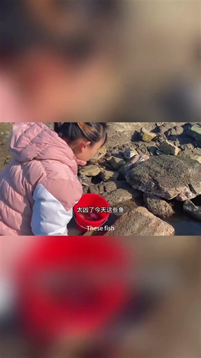 Xiao Zhang Found A Ferocious Big Fish