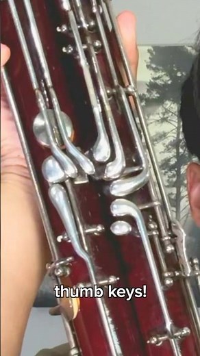 the bassoon has 9 THUMB KEYS?! 😱