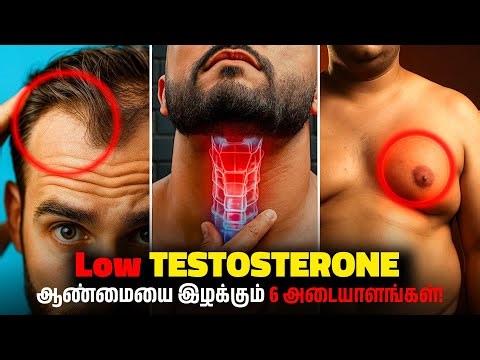 90% Boys ஆண்களே இல்ல ❌| Boost Testosterone Naturally - 5 Easy ways to Increase Testosterone