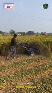 54K views · 2.3K reactions | Discover the innovative world of rice...