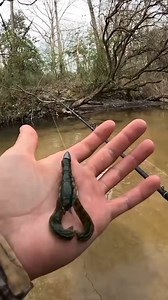 Catching creek bass with googan squad krackin craw #bassfishing #fishing #fishinglure #fyp #tiktokshop #tiktokfishing #foryoupage #fishingbait #creek #googan #googansquad | Fishing Natural