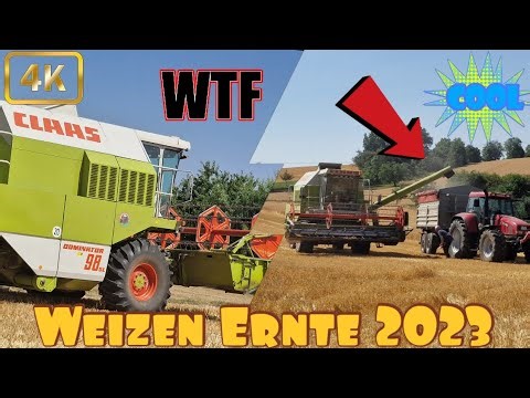 Weizen Ernte 2023 mit dem Claas Dominator 98 SL Mähdrescher Getreideernte 2023 wheat harvest