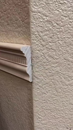 294K views · 2.3K reactions | Moulding tips #diy #diyhome #homeprojects #doityourself | Do it yourself | Facebook