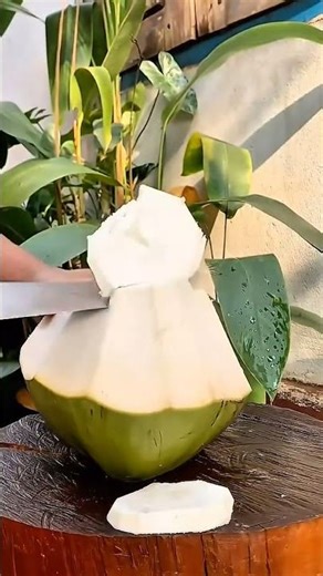 Coconut split open, blade rests, fresh sweetness revealed within