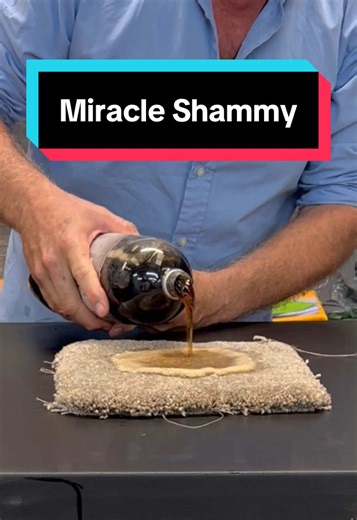 Miracle Shammy: The Ultimate Cleaning Hack