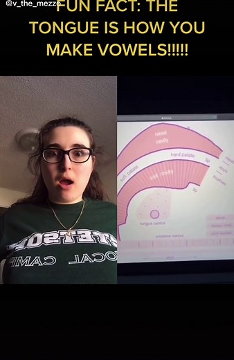 Discover Pink Trombone: A Fun Vocal Tool