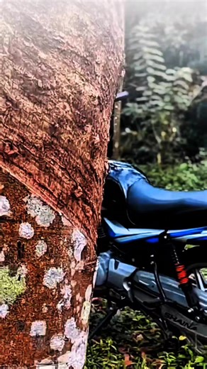 දන්නවද මේ ඇස් හඩන්නෙ ඇයි කියලා🥹❤️‍🩹 . . . . . . . . . . . . . . . . . . . . . . . . . . . . . . . . . . . . . . . . . . #creatorsearchinsights#newtrend #viral #ct#india