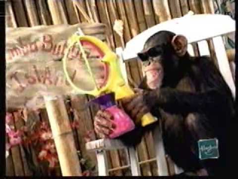 Nick Jr Blues Clues Break 1999) Vol 1