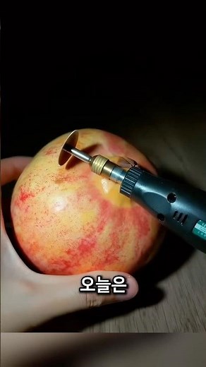 미녀는 석류를 좋아해