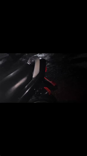 Cook in Bug on TikTok