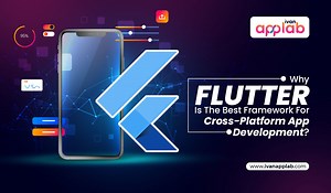 Why-Flutter-Is-The-Best-Framework-For-Cross-Platform-App-Development