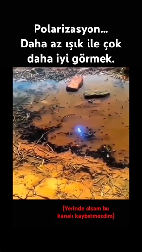 Fizik Kurallarıyla Daha Net Bir Görüş: Polarizasyon! ⚛️
