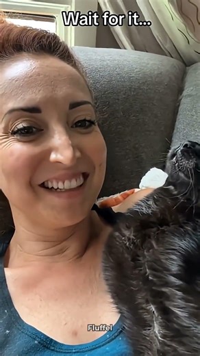 Do These Cats Like Kisses? 😹