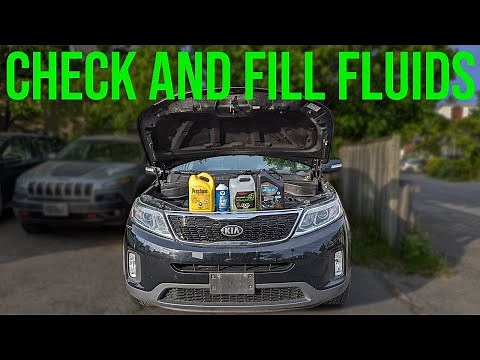 How to Check and Fill Fluids [COMPLETE GUIDE] - Kia Sorento (2011-2015)